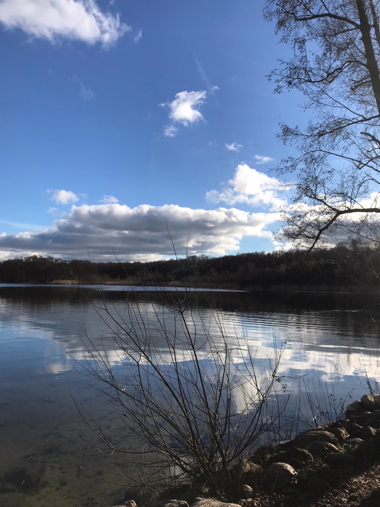 Frühlingstag am Jabelschen See bei Damerow mit blauem Himmel, Schäfchenwolken und ruhiger Wasseroberfläche