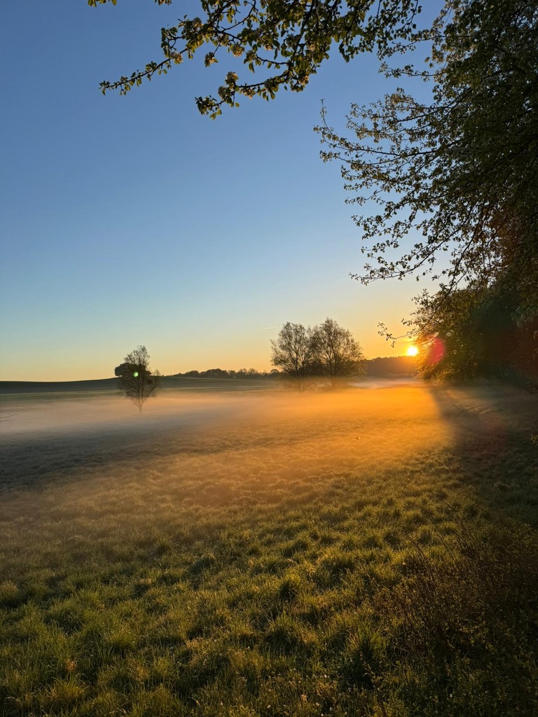 Sonnenaufgang mit Bodennebel über Wiesen in Damerow am Jabelschen See