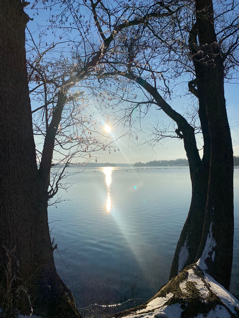 Wintersonne am Kölpinsee am Damerower Werder mit Sonne durch frostige Baumäste