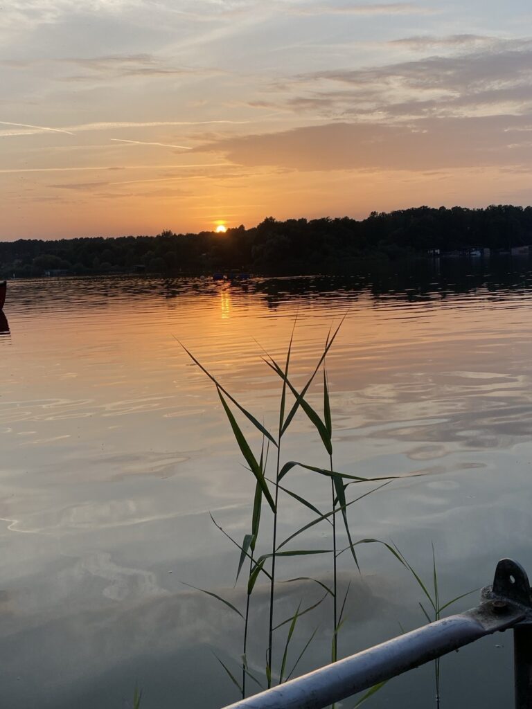Abendrot über dem Jabelschen See mit Schilf im Vordergrund
