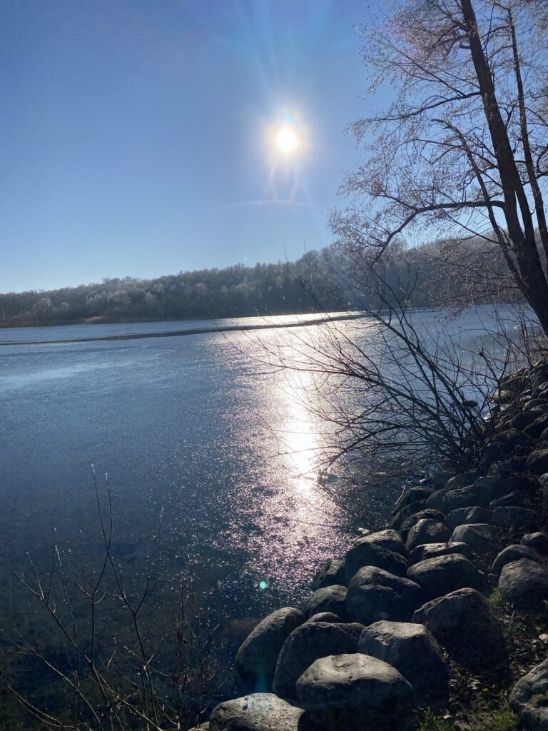 Sonne im Gegenlicht über dem Kölpinsee mit Uferbäumen