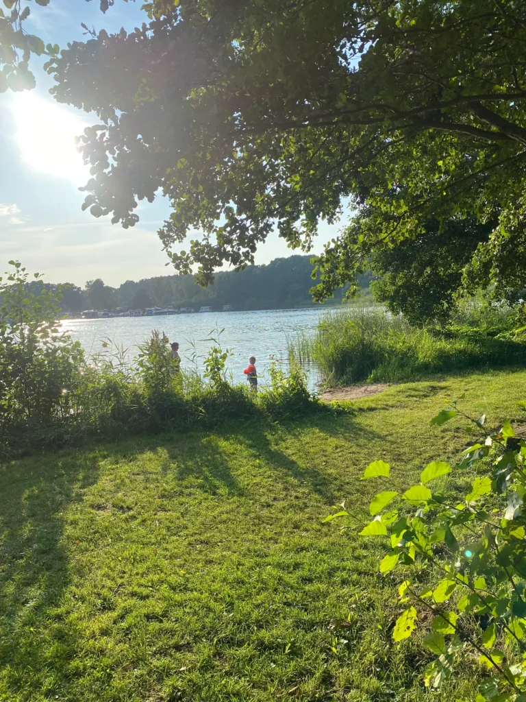Liegewiese am öffentlichen Badestrand Damerow am Jabelschen See